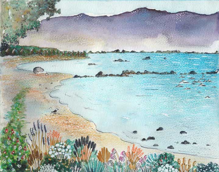 Kaikoura, illustration par Noëmie Le Crom