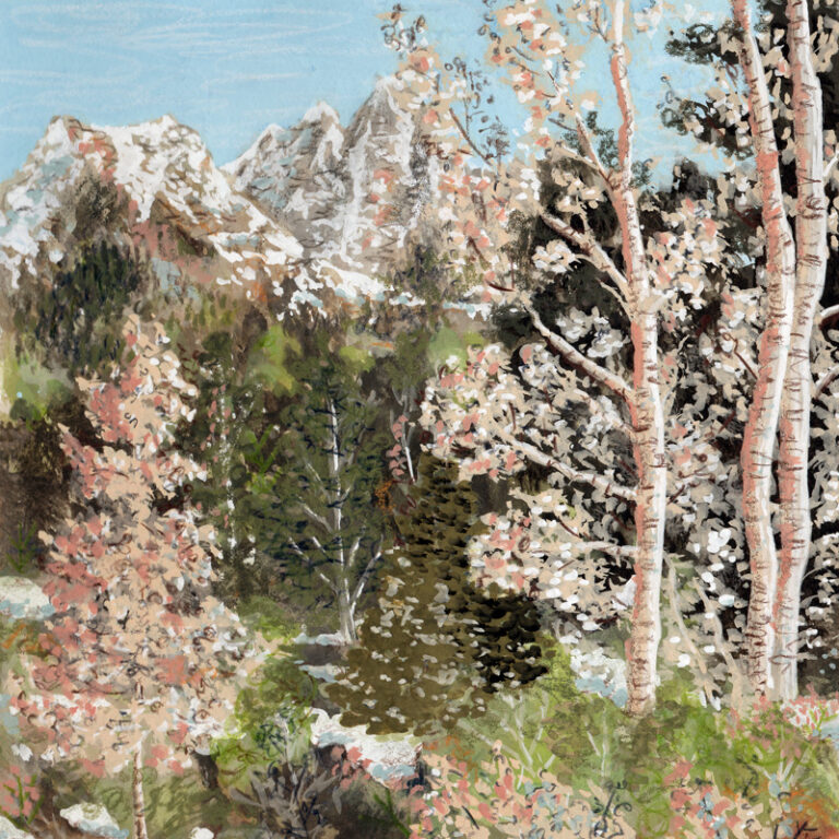 Forêt enneigée
